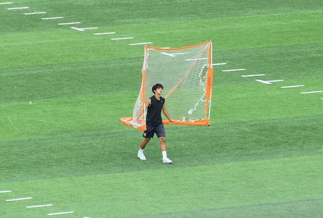 要看